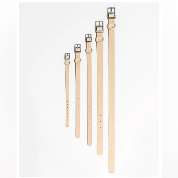 Wild One Dog Collar - XL (18-23") - Moss Green - Picture 15 of 16